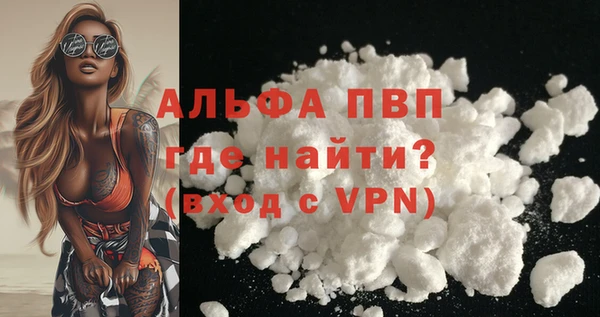 амф Козловка