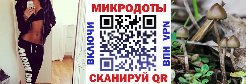 мега как войти  Ижевск  Галлюциногенные грибы Psilocybe 